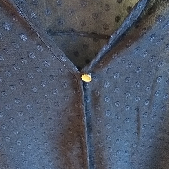 Stitch Fix Navy Damon Swiss Dot Shear Blouse XS - Picture 4 of 12